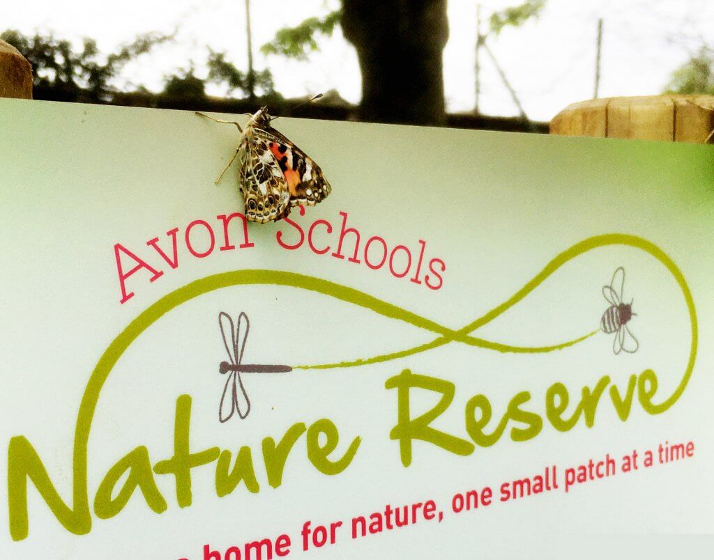 A Painted Lady butterfly sits on the newly installed ANSR.club signage